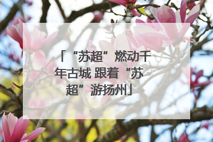 “苏超”燃动千年古城 跟着“苏超”游扬州