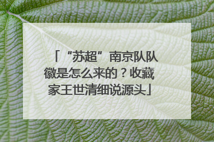 “苏超”南京队队徽是怎么来的？收藏家王世清细说源头
