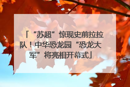 “苏超”惊现史前拉拉队！中华恐龙园“恐龙大军”将亮相开幕式