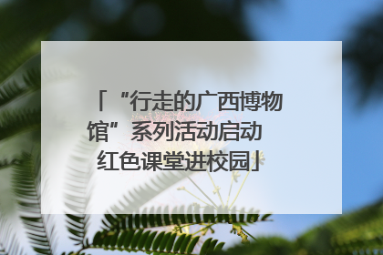 “行走的广西博物馆”系列活动启动 红色课堂进校园