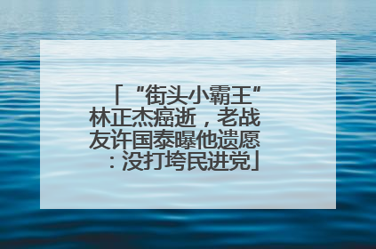 “街头小霸王”林正杰癌逝，老战友许国泰曝他遗愿：没打垮民进党