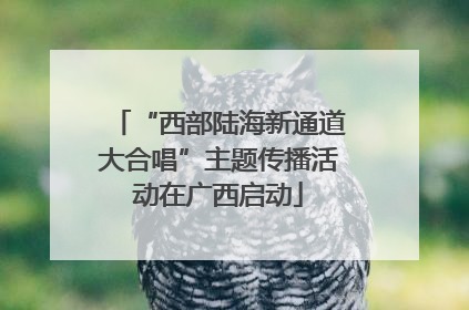 “西部陆海新通道大合唱”主题传播活动在广西启动