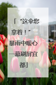 “这伞您拿着！” 暴雨中暖心一幕刷屏宜都
