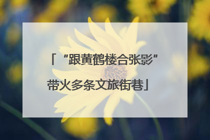 “跟黄鹤楼合张影”带火多条文旅街巷