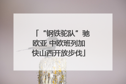 “钢铁驼队”驰欧亚 中欧班列加快山西开放步伐
