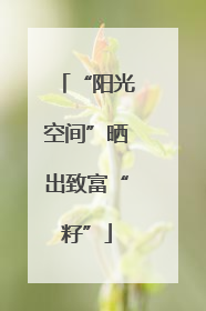 “阳光空间”晒出致富“籽”