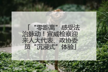 “零距离”感受法治脉动！宣威检察迎来人大代表、政协委员“沉浸式”体验
