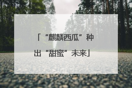 “麒麟西瓜”种出“甜蜜”未来