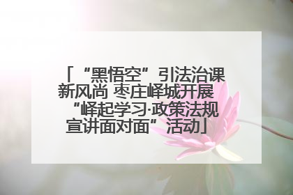“黑悟空”引法治课新风尚 枣庄峄城开展“峄起学习·政策法规宣讲面对面”活动