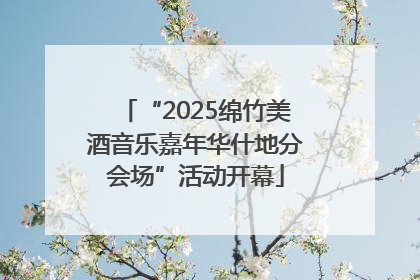 “2025绵竹美酒音乐嘉年华什地分会场”活动开幕