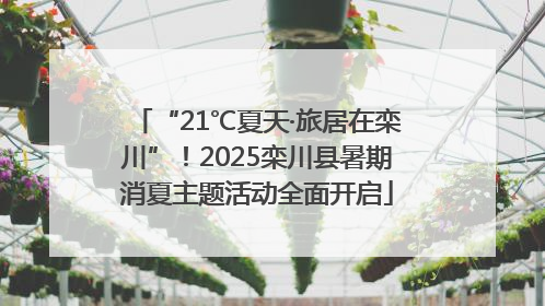 “21℃夏天·旅居在栾川”！2025栾川县暑期消夏主题活动全面开启