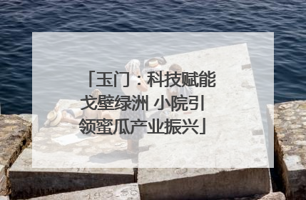 玉门：科技赋能戈壁绿洲 小院引领蜜瓜产业振兴