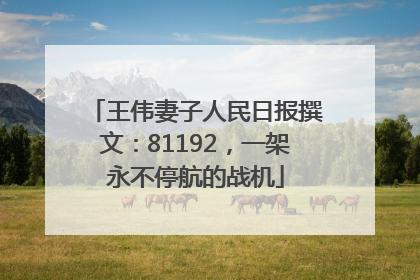 王伟妻子人民日报撰文：81192，一架永不停航的战机