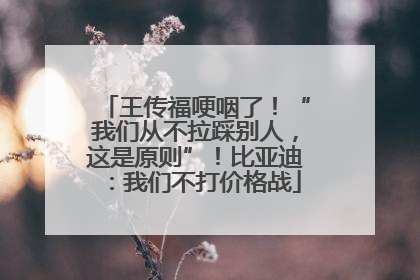 王传福哽咽了！“我们从不拉踩别人，这是原则”！比亚迪：我们不打价格战