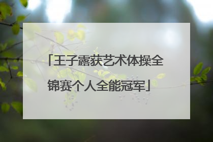 王子露获艺术体操全锦赛个人全能冠军