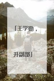 王学勤，升副部