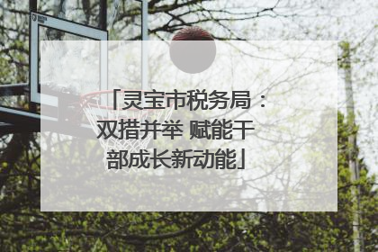 灵宝市税务局：双措并举 赋能干部成长新动能