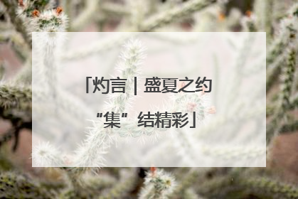 灼言｜盛夏之约 “集”结精彩