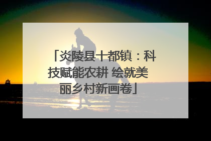 炎陵县十都镇：科技赋能农耕 绘就美丽乡村新画卷
