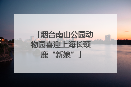 烟台南山公园动物园喜迎上海长颈鹿“新娘”