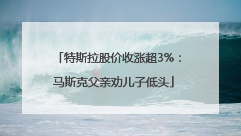 特斯拉股价收涨超3%：马斯克父亲劝儿子低头