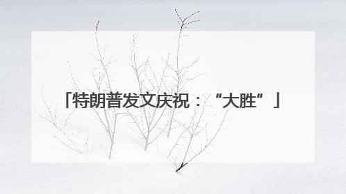 特朗普发文庆祝：“大胜”