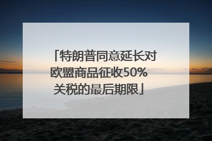 特朗普同意延长对欧盟商品征收50%关税的最后期限