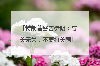 特朗普警告伊朗：与美无关，不要打美国