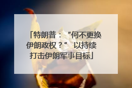 特朗普：“何不更换伊朗政权？” 以持续打击伊朗军事目标