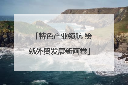 特色产业领航 绘就外贸发展新画卷