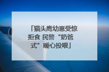 猫头鹰幼崽受惊拒食 民警“奶爸式”暖心投喂