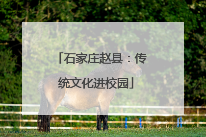 石家庄赵县：传统文化进校园