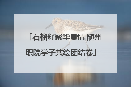 石榴籽聚华夏情 随州职院学子共绘团结卷