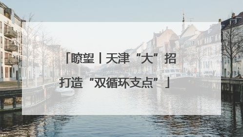 瞭望丨天津“大”招打造“双循环支点”