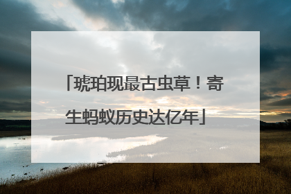 琥珀现最古虫草！寄生蚂蚁历史达亿年