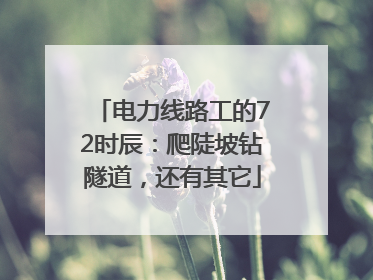 电力线路工的72时辰：爬陡坡钻隧道，还有其它