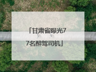 甘肃省曝光77名醉驾司机