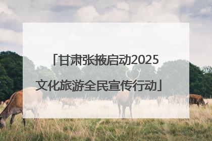 甘肃张掖启动2025文化旅游全民宣传行动