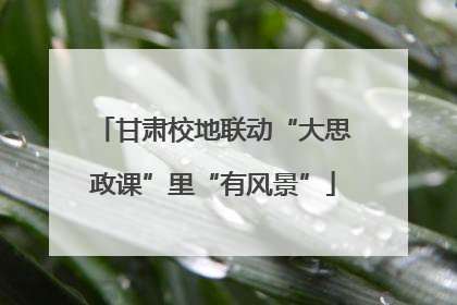 甘肃校地联动“大思政课”里“有风景”