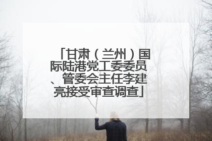 甘肃（兰州）国际陆港党工委委员、管委会主任李建亮接受审查调查