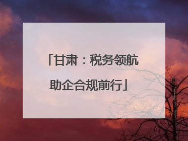 甘肃：税务领航 助企合规前行