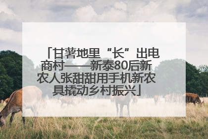 甘薯地里“长”出电商村——新泰80后新农人张甜甜用手机新农具撬动乡村振兴