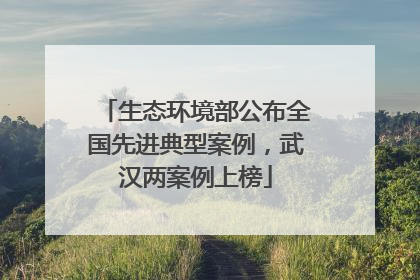 生态环境部公布全国先进典型案例，武汉两案例上榜
