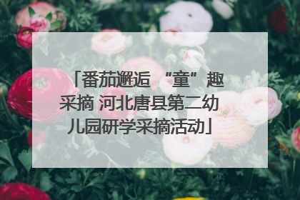 番茄邂逅 “童”趣采摘 河北唐县第二幼儿园研学采摘活动