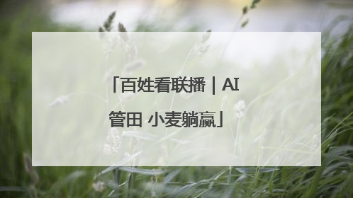 百姓看联播｜AI管田 小麦躺赢