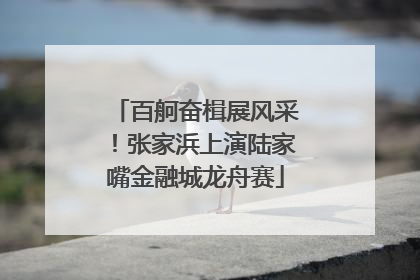 百舸奋楫展风采！张家浜上演陆家嘴金融城龙舟赛