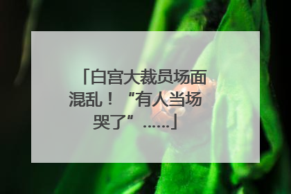 白宫大裁员场面混乱！“有人当场哭了”……