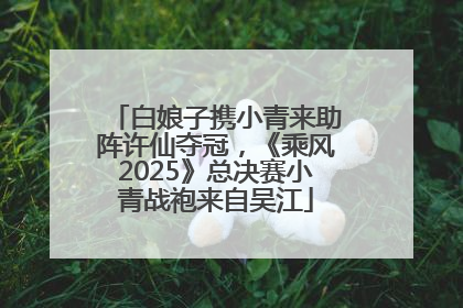 白娘子携小青来助阵许仙夺冠，《乘风2025》总决赛小青战袍来自吴江