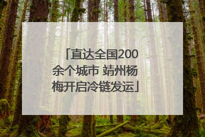 直达全国200余个城市 靖州杨梅开启冷链发运