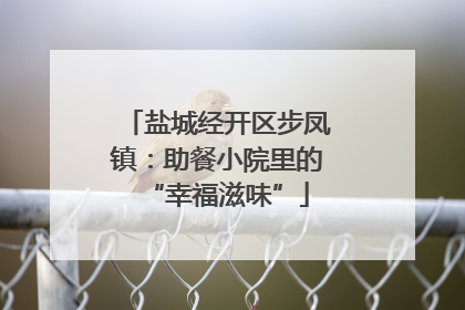 盐城经开区步凤镇：助餐小院里的“幸福滋味”